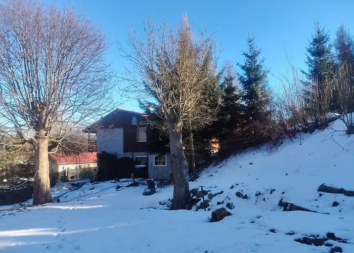 Z Ogrodem Poranna Rosa